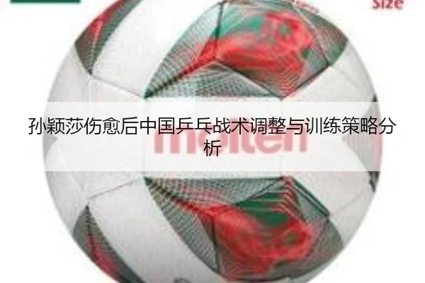 sun-ying-sha-shang-yu-hou-zhong-guo-ping-pang-zhan-shu-tiao-zheng-yu-xun-lian-ce-lve-fen-xi-2-196.jpg
