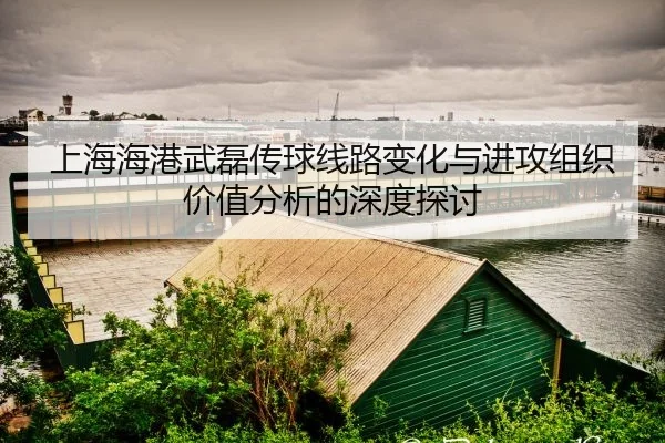 shang-hai-hai-gang-wu-lei-chuan-qiu-xian-lu-bian-hua-yu-jin-gong-zu-zhi-jia-zhi-fen-xi-de-shen-du-tan-tao-2-519.jpg